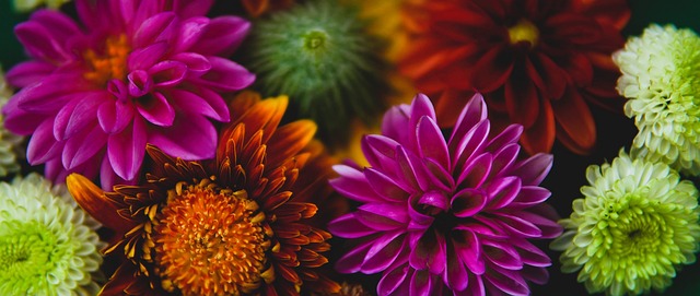 茵场上的魔 茵场上的魔