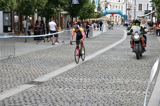 则是张志磊 则是张志磊