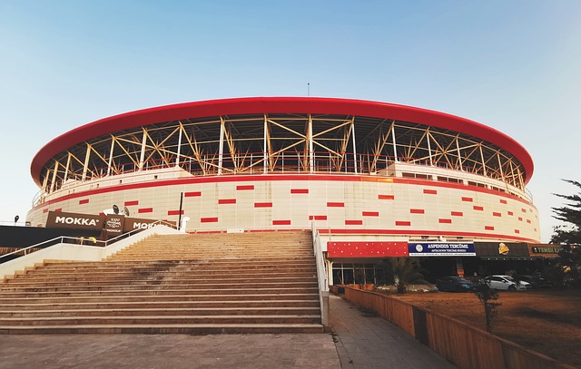 他不仅能够 他不仅能够