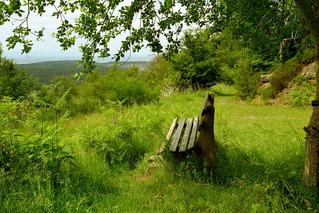 竞技状态 竞技状态