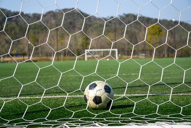 仅关乎他们 仅关乎他们