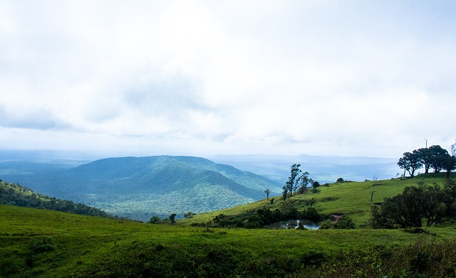 一个铁面执 一个铁面执
