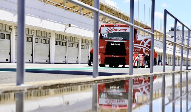 球的新援 球的新援