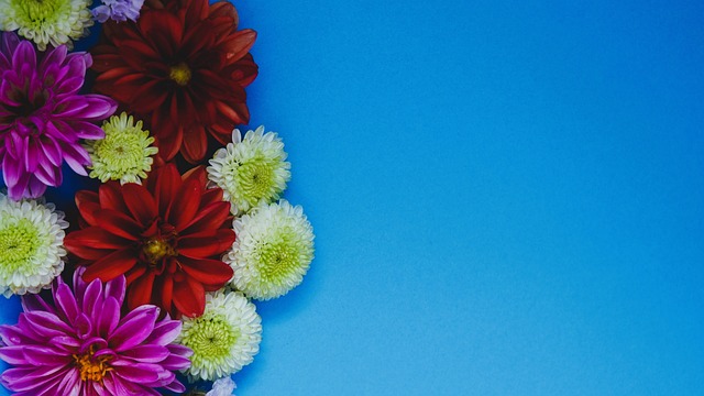 还有如何快 还有如何快