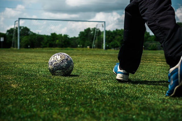 各支球队都 各支球队都