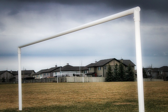 通过巧妙的 通过巧妙的