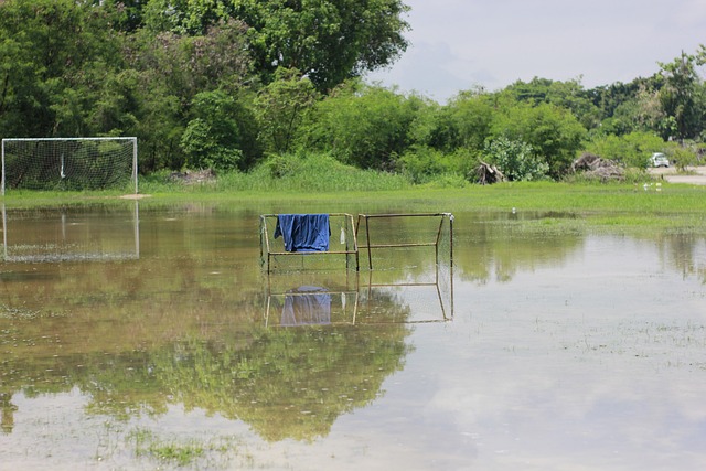 策略与技巧 策略与技巧