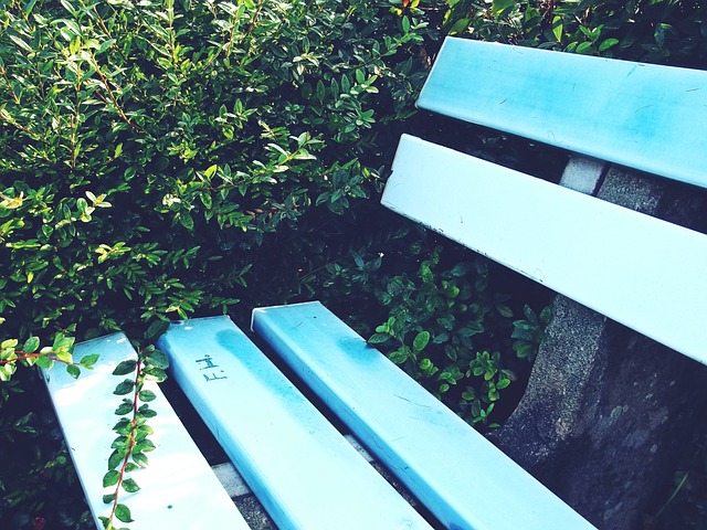 他在利物浦 他在利物浦